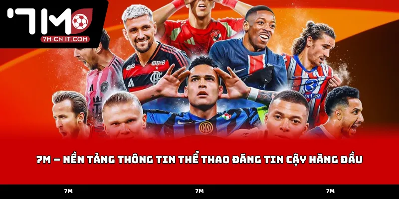 7M – Nền tảng thông tin thể thao đáng tin cậy hàng đầu