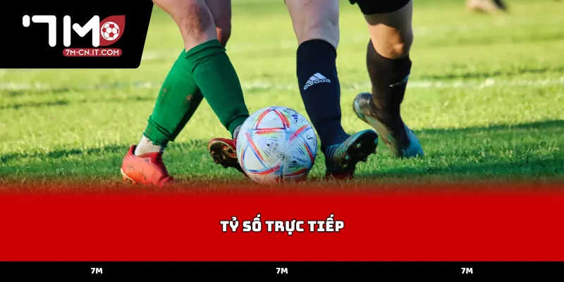 Tính năng tỷ số trực tiếp được vận hành bởi hệ thống máy chủ đa tầng