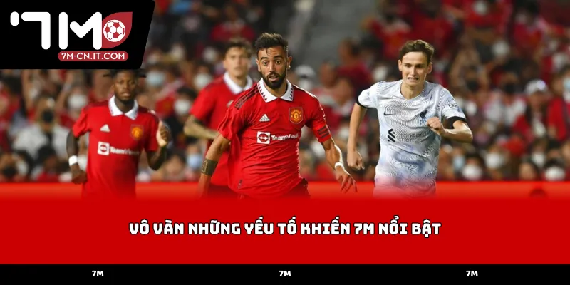 Vô vàn những yếu tố khiến 7M nổi bật